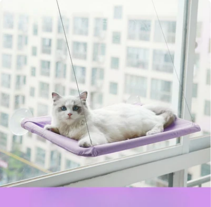 Feline Haven Cat's Cloud Bed